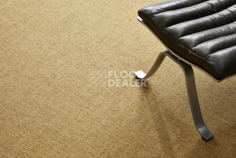 Bloq Canvas Canvas 225 фото 2 | FLOORDEALER